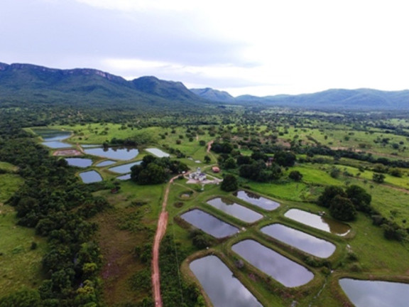Imagem Imóvel à Venda, em Monte Alegre De Goiás - Monte Alegre De Goiás Imagem Imóvel à Venda, em Monte Alegre De Goiás - Monte Alegre De Goiás