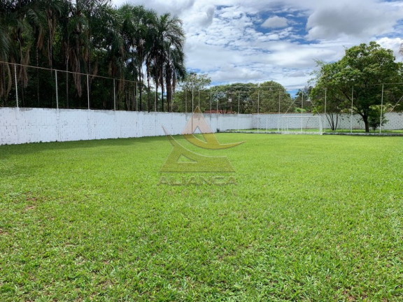 Imagem Imóvel com 3 Quartos à Venda, 5.000 m² em Itanhangá - Ribeirão Preto Imagem Imóvel com 3 Quartos à Venda, 5.000 m² em Itanhangá - Ribeirão Preto