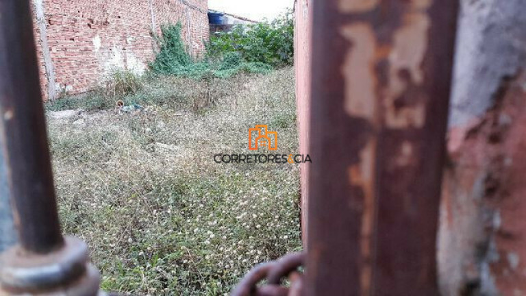 Terreno à Venda, 125 m² em Vila Albertina - Ribeirão Preto