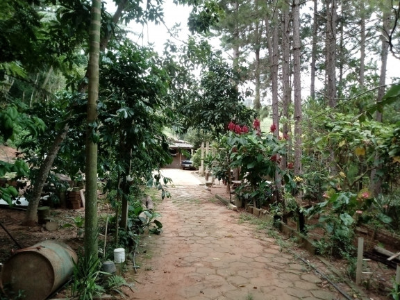 Chácara com 2 Quartos à Venda, 2.510 m² em Terra Preta - Mairiporã