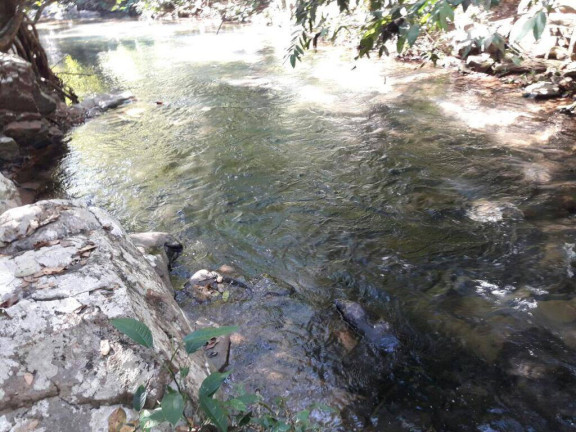Imagem Fazenda à Venda, 1 m² em Tira Sentido - Alto Paraguai Imagem Fazenda à Venda, 1 m² em Tira Sentido - Alto Paraguai