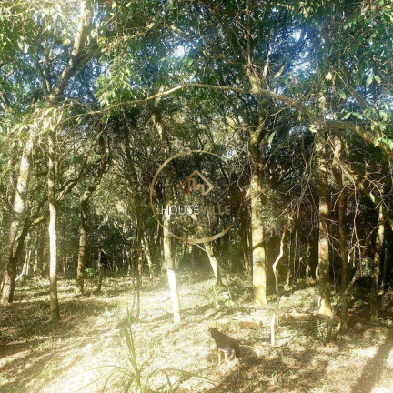 Imagem Chácara com 3 Quartos à Venda, 24.000 m² em Mairinque Imagem Chácara com 3 Quartos à Venda, 24.000 m² em Mairinque