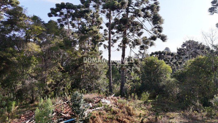 Imagem Imóvel à Venda, em Região Do Atalaia - Campos Do Jordão Imagem Imóvel à Venda, em Região Do Atalaia - Campos Do Jordão