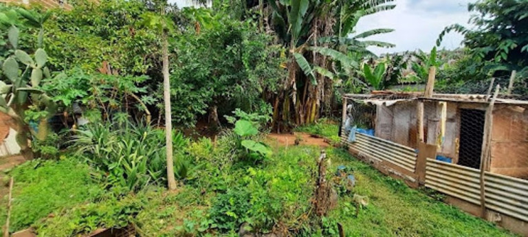 Imagem Casa com 4 Quartos à Venda, 195 m² em Jardim Paulista - Atibaia