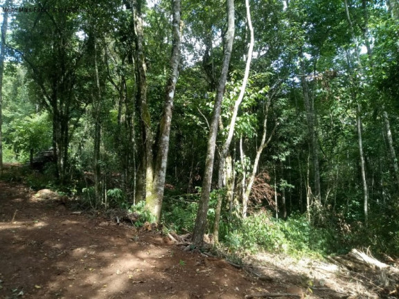 Imagem Terreno à Venda, 3 m² em Linha Pirajá Alta - Nova Petrópolis