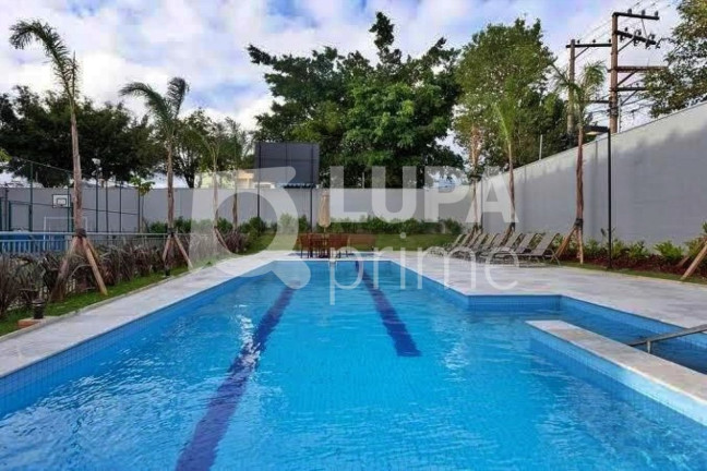 Imagem Apartamento com 2 Quartos à Venda, 53 m² em Vila Maria - São Paulo Imagem Apartamento com 2 Quartos à Venda, 53 m² em Vila Maria - São Paulo