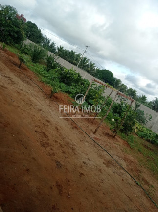 Imagem Fazenda à Venda, em Tiquaruçu - Feira De Santana Imagem Fazenda à Venda, em Tiquaruçu - Feira De Santana