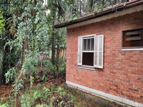 Imagem Casa com 3 Quartos à Venda, 84 m² em Pousada Da Neve - Nova Petrópolis