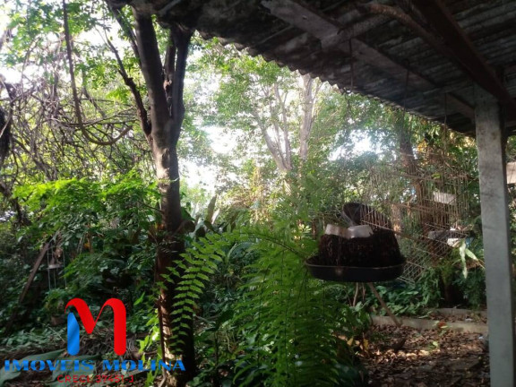 Imagem Terreno à Venda, 660 m² em Vila Nova Pauliceia - São Paulo Imagem Terreno à Venda, 660 m² em Vila Nova Pauliceia - São Paulo