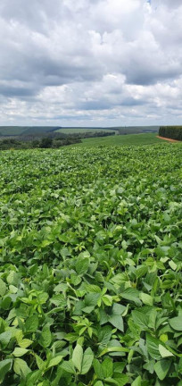Imagem Fazenda à Venda, 171 m² em Rural - Cabrália Paulista Imagem Fazenda à Venda, 171 m² em Rural - Cabrália Paulista