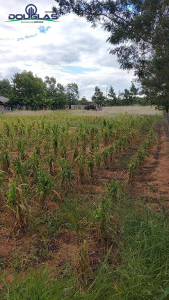 Imagem Terreno à Venda, 2.625 m² em Viamão