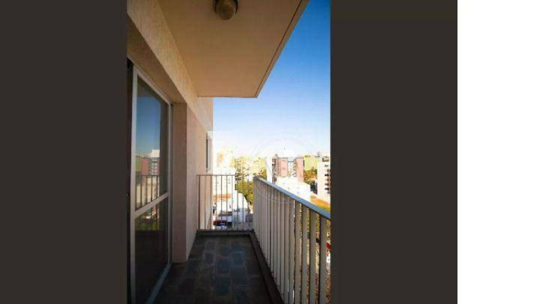 Imagem Apartamento com 1 Quarto para Alugar, 65 m² em Vila Itapura - Campinas Imagem Apartamento com 1 Quarto para Alugar, 65 m² em Vila Itapura - Campinas