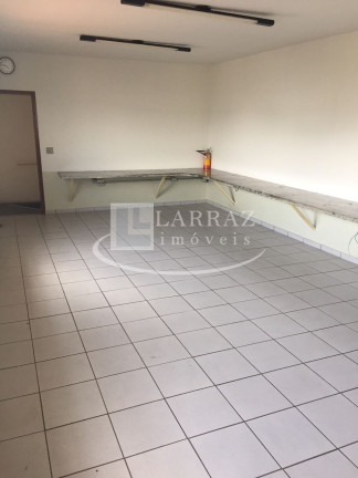 Imagem Imóvel à Venda, 550 m² em Campos Eliseos - Ribeirão Preto Imagem Imóvel à Venda, 550 m² em Campos Eliseos - Ribeirão Preto