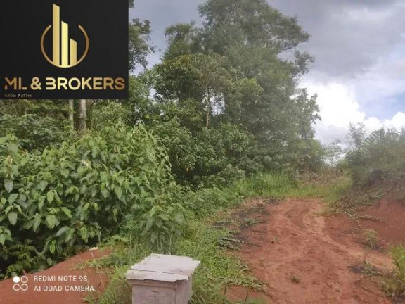 Imagem Imóvel à Venda, 20.000 m² em Sao Silvestre - Campo Largo