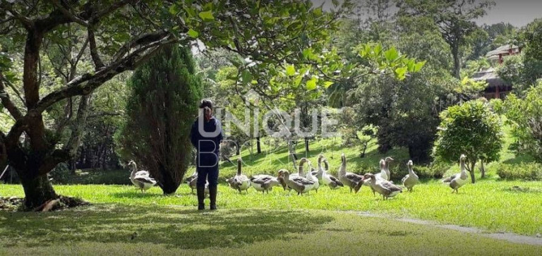 Imagem Terreno à Venda, 1.195 m² em Pinhal - Cabreúva Imagem Terreno à Venda, 1.195 m² em Pinhal - Cabreúva