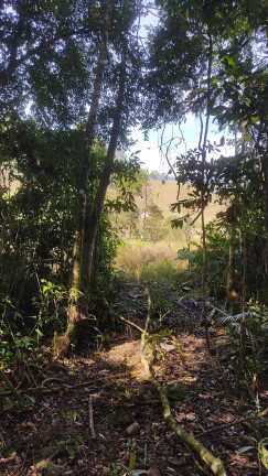 Imagem Imóvel à Venda, em Arataca São João Batista Sc - São João Batista Imagem Imóvel à Venda, em Arataca São João Batista Sc - São João Batista