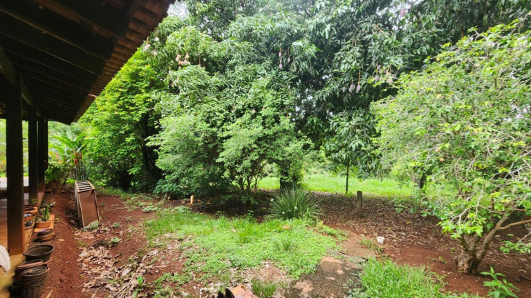 Imagem Chácara com 2 Quartos à Venda, 10.001 m² em Centro - Ibiporã
