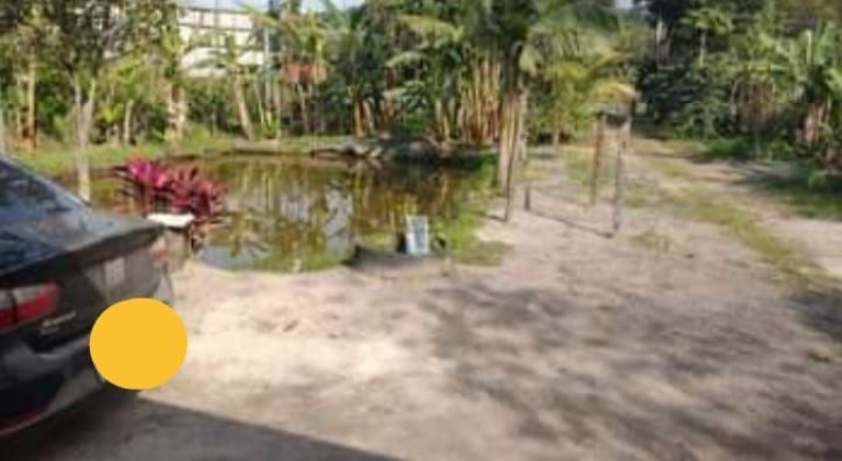 Imagem Fazenda à Venda, em Rio Das Pedras - Paranagua Imagem Fazenda à Venda, em Rio Das Pedras - Paranagua