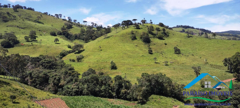 Imagem Chácara à Venda, 24 m² em Centro - Paraisópolis Imagem Chácara à Venda, 24 m² em Centro - Paraisópolis