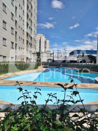 Imagem Apartamento com 3 Quartos à Venda, 63 m² em Vila Guilherme - São Paulo