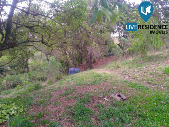 Imagem Chácara com 3 Quartos à Venda, 350 m² em Biriça Do Campinho - Bragança Paulista Imagem Chácara com 3 Quartos à Venda, 350 m² em Biriça Do Campinho - Bragança Paulista