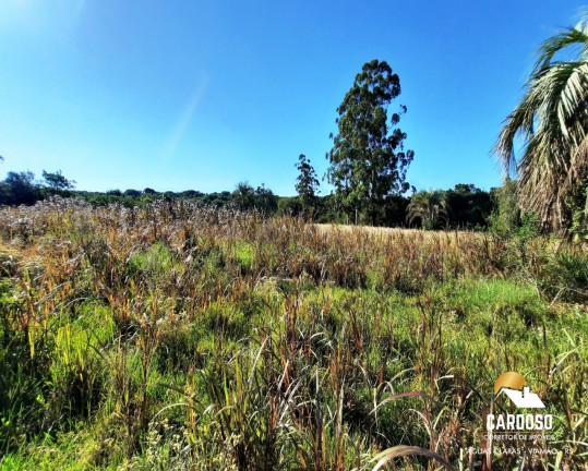 Imagem Imóvel com 4 Quartos à Venda, 120.000 m² em águas Claras - Viamão