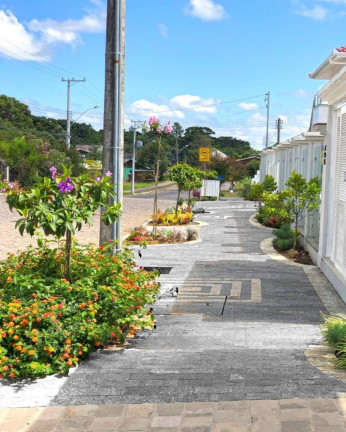 Imagem Imóvel com 2 Quartos à Venda, 66 m² em Vila Germânia - Nova Petrópolis