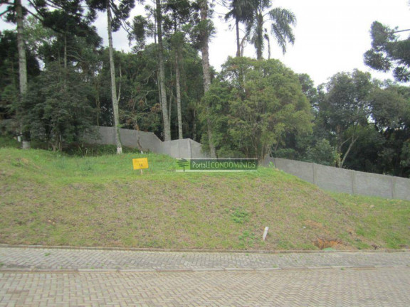 Imagem Terreno à Venda, 605 m² em Campo Comprido - Curitiba Imagem Terreno à Venda, 605 m² em Campo Comprido - Curitiba