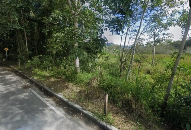 Terreno à Venda, 64.000 m² em Barranco Alto - Caraguatatuba