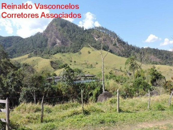 Imóvel com 3 Quartos à Venda, 3.872.000 m² em Passa Vinte - Cruzeiro