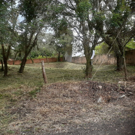 Imagem Terreno à Venda, 500 m² em Botucatu Imagem Terreno à Venda, 500 m² em Botucatu
