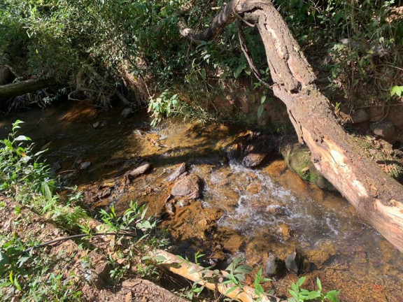 Imagem Casa de Condomínio com 3 Quartos à Venda, 140 m² em Condomínio águas Claras - Brumadinho