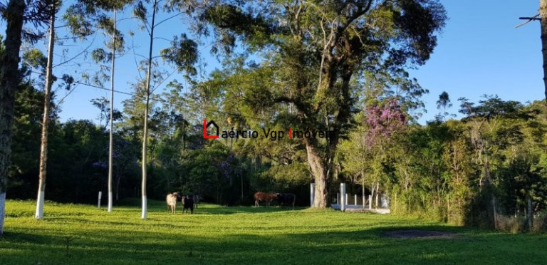Imagem Imóvel com 2 Quartos à Venda, 133.100 m² em Carmo Messias - Ibiúna
