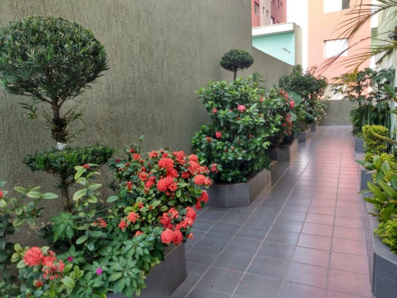 Imagem Apartamento com 2 Quartos à Venda, 60 m² em Rudge Ramos - São Bernardo Do Campo Imagem Apartamento com 2 Quartos à Venda, 60 m² em Rudge Ramos - São Bernardo Do Campo