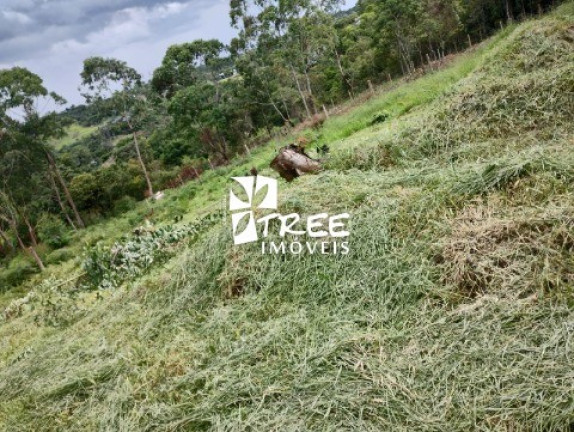 Imagem Terreno à Venda, 125 m² em Fazenda Velha - Arujá Imagem Terreno à Venda, 125 m² em Fazenda Velha - Arujá