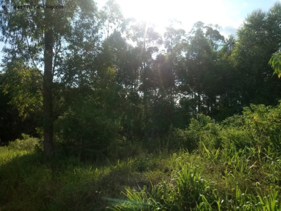 Imagem Terreno à Venda, 3 m² em Fazenda Pirajá - Nova Petrópolis