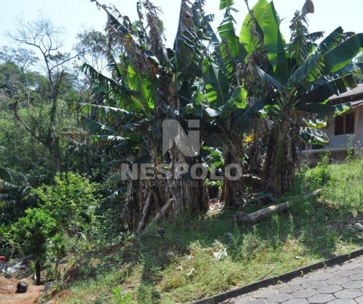 Imagem Terreno à Venda, em Fidélis - Blumenau Imagem Terreno à Venda, em Fidélis - Blumenau