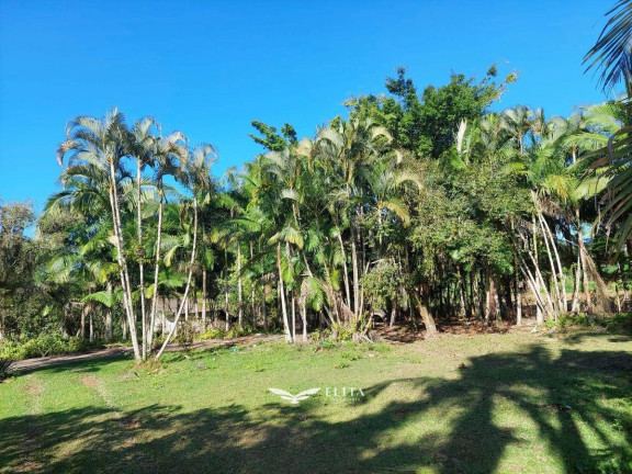 Imagem Chácara com 2 Quartos à Venda, 19.000 m² em Vila Nova - Barra Velha