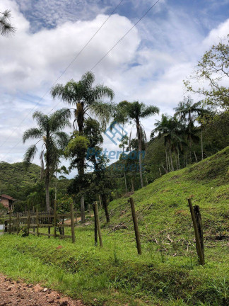 Imagem Chácara com 3 Quartos à Venda, 1.200.000 m² em Lageado Alto - Guabiruba