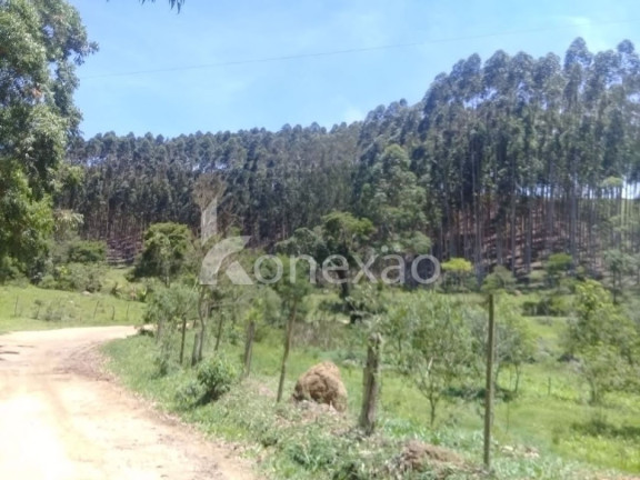 Imagem Fazenda à Venda, 200 m² em Centro - Paraibuna Imagem Fazenda à Venda, 200 m² em Centro - Paraibuna