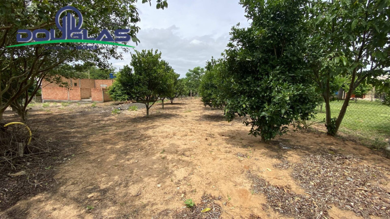 Imagem Terreno à Venda,  em Viamão