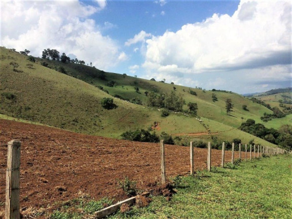 Imagem Imóvel com 3 Quartos à Venda, 448.000 m² em Roseta - Cambuí Imagem Imóvel com 3 Quartos à Venda, 448.000 m² em Roseta - Cambuí