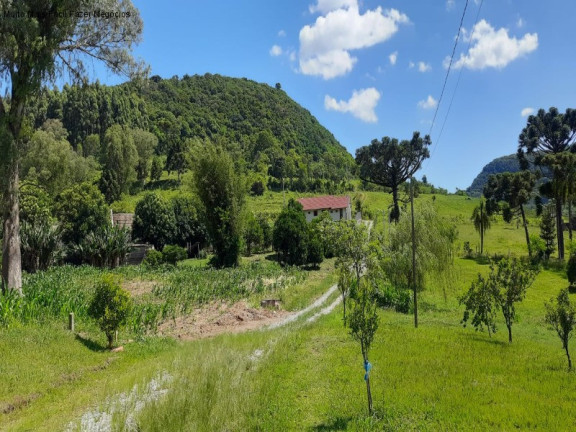 Imóvel com 4 Quartos à Venda, 300 m² em Pinhal Alto - Nova Petrópolis