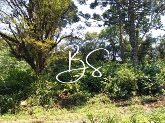 Imóvel à Venda, 1.000 m² em Serra Grande - Igrejinha