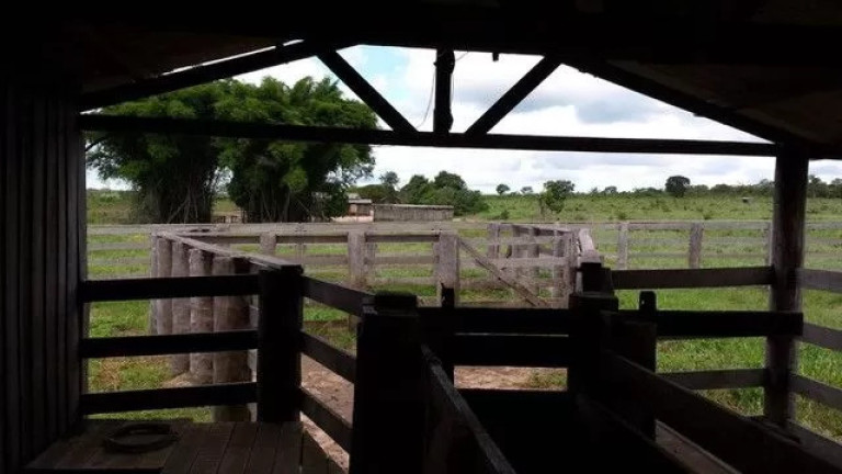 Imagem Fazenda à Venda, 500 m² em Zona Rural - Paranatinga