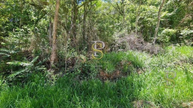 Imagem Terreno à Venda, 1.000 m² em Mato Dentro - Mairiporã Imagem Terreno à Venda, 1.000 m² em Mato Dentro - Mairiporã