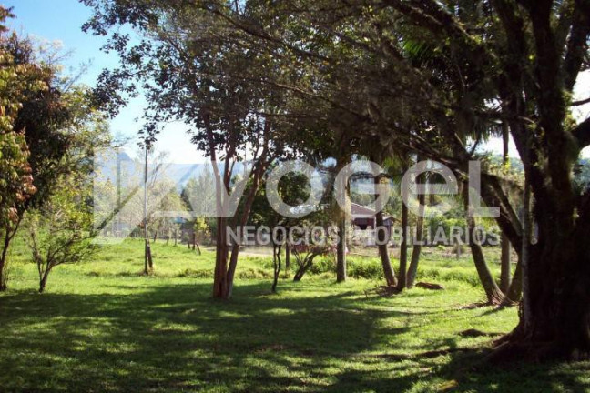 Imagem Imóvel à Venda, 5.000 m² em Três Pinheiros (distrito) - Itati Imagem Imóvel à Venda, 5.000 m² em Três Pinheiros (distrito) - Itati