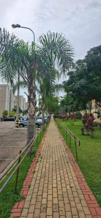 Imagem Apartamento com 2 Quartos à Venda, 48 m² em Jardim Novo Mundo - Sorocaba Imagem Apartamento com 2 Quartos à Venda, 48 m² em Jardim Novo Mundo - Sorocaba