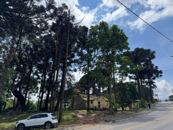 Imagem Terreno à Venda, 1.347 m² em Osasco - Colombo Imagem Terreno à Venda, 1.347 m² em Osasco - Colombo