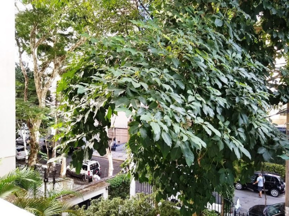Imagem Apartamento com 4 Quartos à Venda, 259 m² em Jardim Paulista - São Paulo Imagem Apartamento com 4 Quartos à Venda, 259 m² em Jardim Paulista - São Paulo